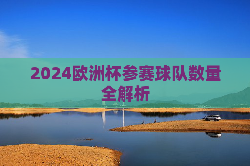 2024欧洲杯参赛球队数量全解析