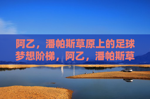阿乙,潘帕斯草原上的足球梦想阶梯,阿乙,潘帕斯草原的足球梦想阶梯
