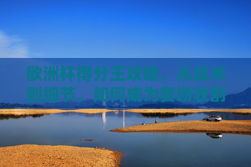欧洲杯得分王攻略，从战术到细节，如何成为赛场收割机？欧洲杯得分王攻略，从战术细节到赛场收割