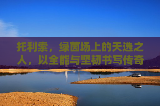 托利索，绿茵场上的天选之人，以全能与坚韧书写传奇，托利索，绿茵天选，全能铸就传奇