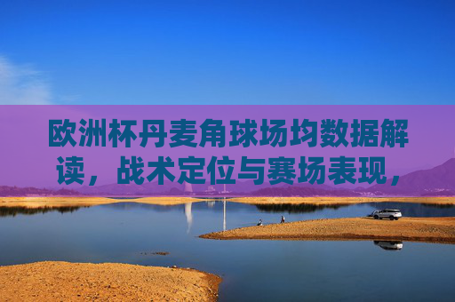 欧洲杯丹麦角球场均数据解读,战术定位与赛场表现,欧洲杯丹麦角球场均数据,战术定位与赛场表现