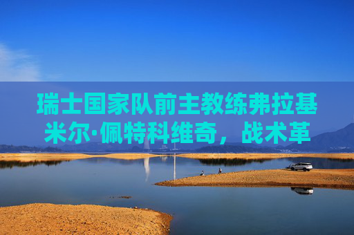 瑞士国家队前主教练弗拉基米尔·佩特科维奇,战术革新者与大赛常客,瑞士名帅佩特科维奇,战术革新者与大赛常客