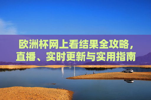 欧洲杯网上看结果全攻略，直播、实时更新与实用指南，欧洲杯网上看结果全攻略