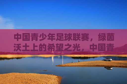 中国青少年足球联赛，绿茵沃土上的希望之光，中国青少年足球联赛，绿茵沃土上的希望之光