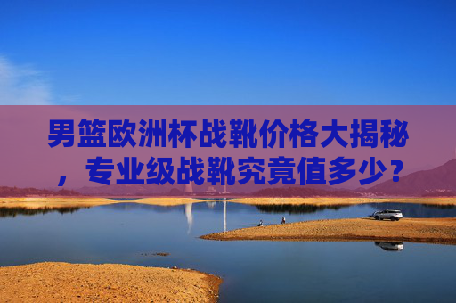 男篮欧洲杯战靴价格大揭秘,专业级战靴究竟值多少?