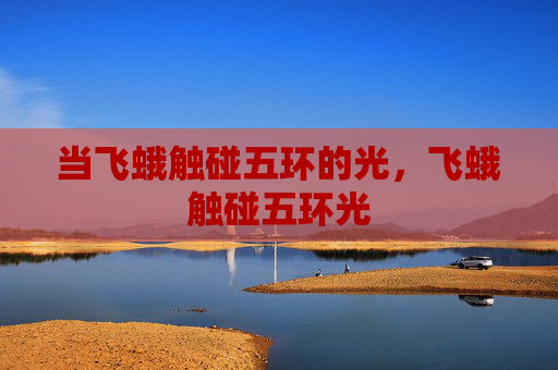 当飞蛾触碰五环的光,飞蛾触碰五环光
