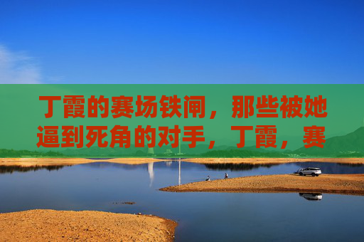 丁霞的赛场铁闸,那些被她逼到死角的对手,丁霞,赛场铁闸,逼敌至死角