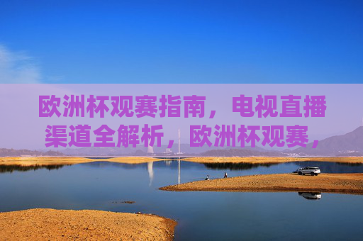 欧洲杯观赛指南,电视直播渠道全解析,欧洲杯观赛,电视直播渠道全解析