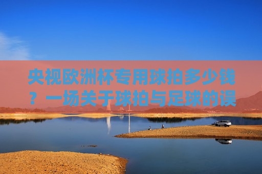 央视欧洲杯专用球拍多少钱？一场关于球拍与足球的误会，央视欧洲杯球拍乌龙，一场关于球拍与足球的误会
