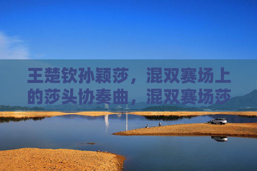 王楚钦孙颖莎,混双赛场上的莎头协奏曲,混双赛场莎头协奏曲