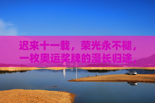 迟来十一载，荣光永不褪，一枚奥运奖牌的漫长归途，迟来十一载，奖牌荣光归途