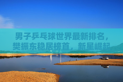 男子乒乓球世界最新排名，樊振东稳居榜首，新星崛起重塑格局，男子乒乓球最新排名，樊振东稳居榜首，新星崛起重塑格局