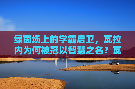 绿茵场上的学霸后卫，瓦拉内为何被冠以智慧之名？瓦拉内，绿茵场上的智慧后卫