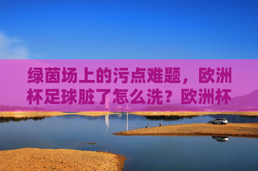 绿茵场上的污点难题,欧洲杯足球脏了怎么洗?欧洲杯足球污点难题,绿茵场之困如何洗?