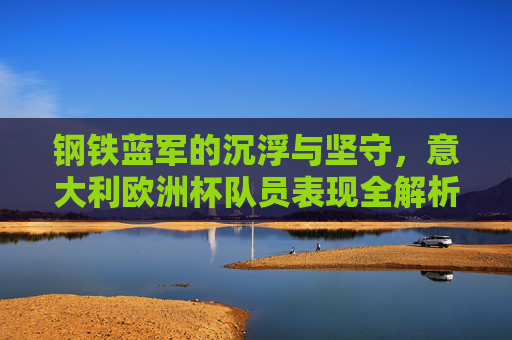 钢铁蓝军的沉浮与坚守,意大利欧洲杯队员表现全解析,钢铁蓝军的沉浮坚守,意大利欧洲杯队员表现全解析