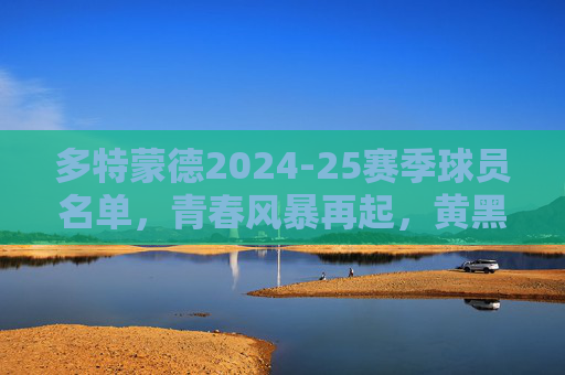 多特蒙德2024-25赛季球员名单，青春风暴再起，黄黑军团剑指巅峰，多特蒙德2024-25，青春风暴再起，黄黑军团剑指巅峰