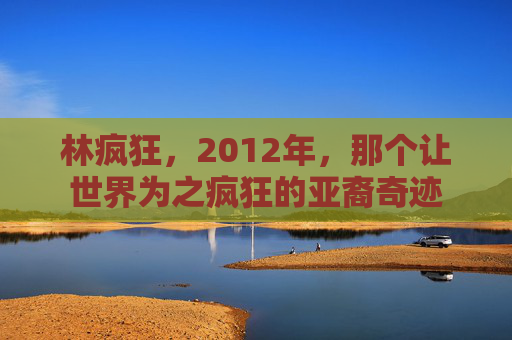 林疯狂,2012年,那个让世界为之疯狂的亚裔奇迹