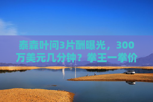 泰森叶问3片酬曝光，300万美元几分钟？拳王一拳价值背后的商业逻辑，泰森叶问3300万美元几分钟？拳王一拳价值背后的商业逻辑