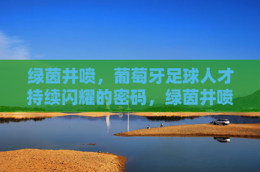 绿茵井喷,葡萄牙足球人才持续闪耀的密码,绿茵井喷,葡萄牙足球人才持续闪耀的密码