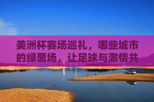 美洲杯赛场巡礼，哪些城市的绿茵场，让足球与激情共舞？美洲杯赛场巡礼，城市绿茵场上的足球与激情共舞