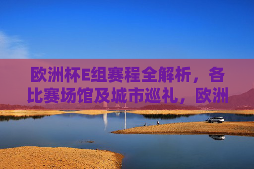 欧洲杯E组赛程全解析,各比赛场馆及城市巡礼,欧洲杯E组赛程全解析,比赛场馆与城市巡礼