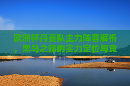欧洲杯丹麦队主力阵容解析,黑马之师的实力定位与竞争力,欧洲杯丹麦队主力阵容解析,黑马之师实力定位与竞争力