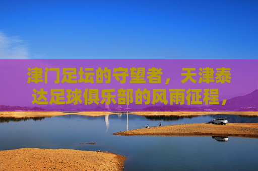 津门足坛的守望者,天津泰达足球俱乐部的风雨征程,津门足坛守望者,天津泰达风雨征程
