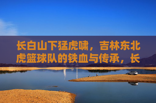 长白山下猛虎啸，吉林东北虎篮球队的铁血与传承，长白山下猛虎啸，吉林东北虎的铁血传承