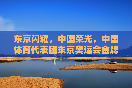 东京闪耀,中国荣光,中国体育代表团东京奥运会金牌征程纪实,中国荣光,东京奥运金牌征程纪实
