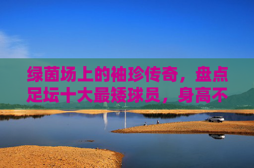 绿茵场上的袖珍传奇,盘点足坛十大最矮球员,身高不足1米7却撑起一片天,足坛十大袖珍传奇,身高不足1米7的绿茵巨人