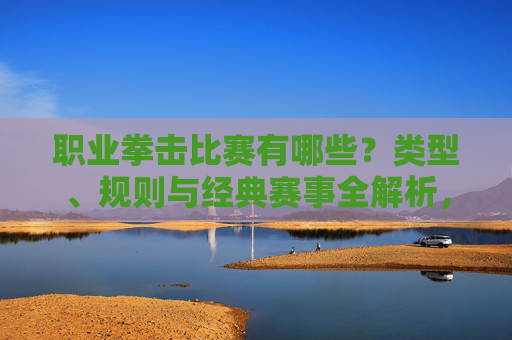 职业拳击比赛有哪些?类型、规则与经典赛事全解析,职业拳击比赛类型、规则与经典赛事全解析