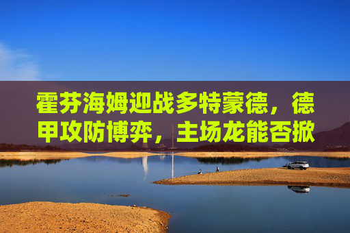 霍芬海姆迎战多特蒙德,德甲攻防博弈,主场龙能否掀翻黄黑军团?德甲攻防博弈,主场龙霍芬海姆能否掀翻黄黑军团多特蒙德
