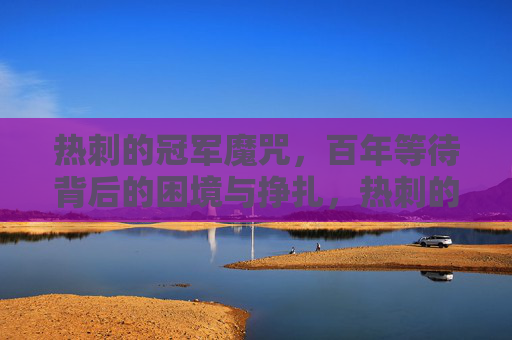 热刺的冠军魔咒,百年等待背后的困境与挣扎,热刺的百年冠军魔咒,等待背后的困境与挣扎