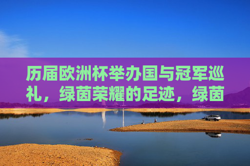 历届欧洲杯举办国与冠军巡礼，绿茵荣耀的足迹，绿茵荣耀的足迹，历届欧洲杯举办国与冠军巡礼