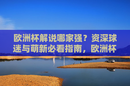 欧洲杯解说哪家强?资深球迷与萌新必看指南,欧洲杯解说指南,资深球迷与萌新必看
