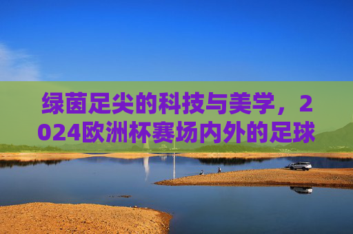 绿茵足尖的科技与美学,2024欧洲杯赛场内外的足球鞋巡礼,绿茵足尖的科技美学,2024欧洲杯足球鞋巡礼