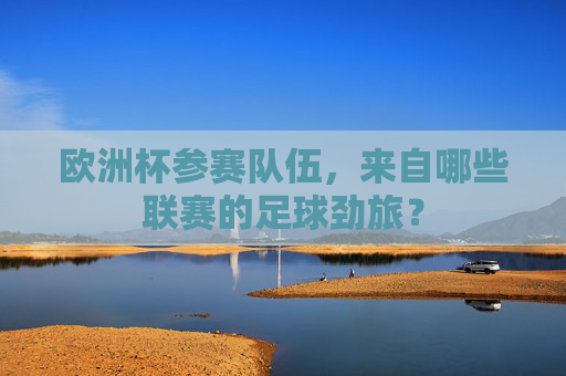欧洲杯参赛队伍,来自哪些联赛的足球劲旅?