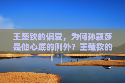王楚钦的偏爱,为何孙颖莎是他心底的例外?王楚钦的偏爱,孙颖莎是他心底的例外