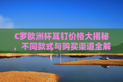 C罗欧洲杯耳钉价格大揭秘,不同款式与购买渠道全解析,C罗欧洲杯耳钉价格、款式与购买渠道全解析