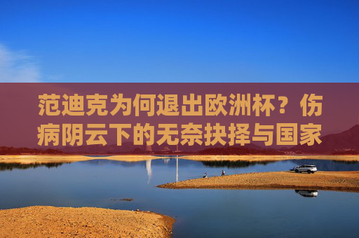 范迪克为何退出欧洲杯?伤病阴云下的无奈抉择与国家队的阵痛,范迪克因伤退出欧洲杯,伤病阴云下的无奈抉择与国家队阵痛