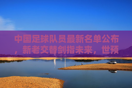 中国足球队员最新名单公布，新老交替剑指未来，世预赛征程启新篇，中国足球队最新名单，新老交替启世预赛新篇