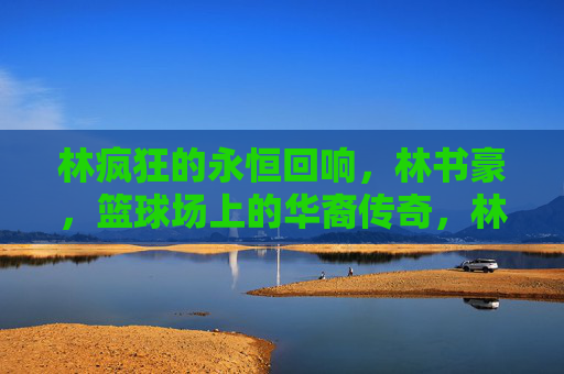 林疯狂的永恒回响，林书豪，篮球场上的华裔传奇，林疯狂的永恒回响，华裔传奇林书豪