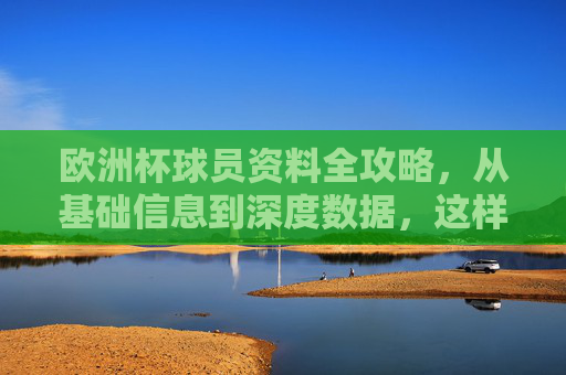欧洲杯球员资料全攻略,从基础信息到深度数据,这样看才专业,欧洲杯球员专业资料全攻略,从基础信息到深度数据