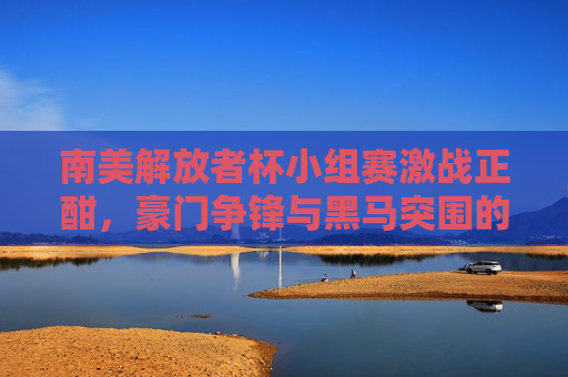 南美解放者杯小组赛激战正酣,豪门争锋与黑马突围的序曲,南美解放者杯小组战,豪门黑马激战序曲