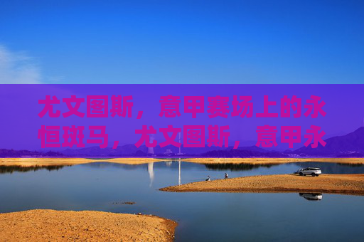 尤文图斯，意甲赛场上的永恒斑马，尤文图斯，意甲永恒斑马
