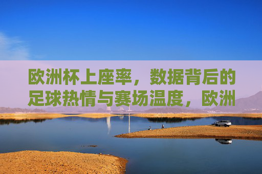 欧洲杯上座率,数据背后的足球热情与赛场温度,欧洲杯上座率,数据背后的足球热情与赛场温度