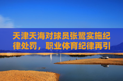 天津天海对球员张鹭实施纪律处罚,职业体育纪律再引关注,天津天海处罚张鹭引职业体育纪律关注