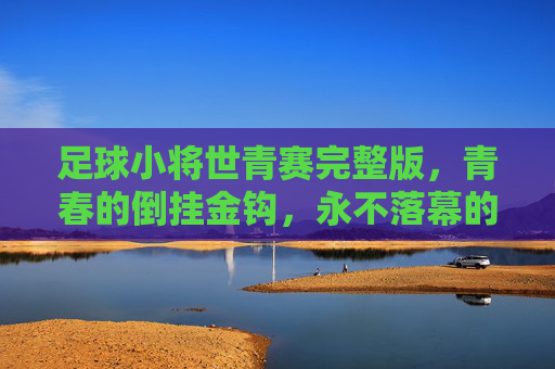 足球小将世青赛完整版,青春的倒挂金钩,永不落幕的热血史诗,足球小将世青赛,倒挂金钩的青春热血史诗