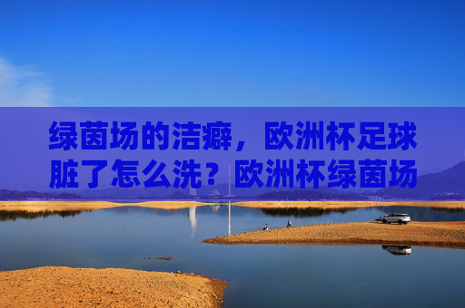 绿茵场的洁癖,欧洲杯足球脏了怎么洗?欧洲杯绿茵场洁癖,足球脏了怎么洗?