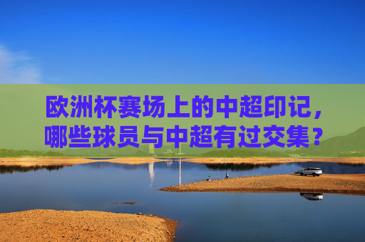 欧洲杯赛场上的中超印记,哪些球员与中超有过交集?欧洲杯球员的中超印记